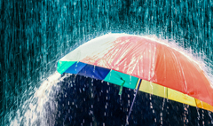 Managing the Deluge of Employee Benefit Plan Compliance Requirements