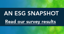 An ESG Snapshot